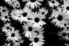 6159b736-7b60-4a21-9f23-b86ed1a90dc3